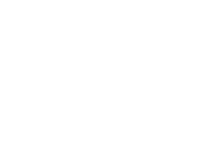 Fornite